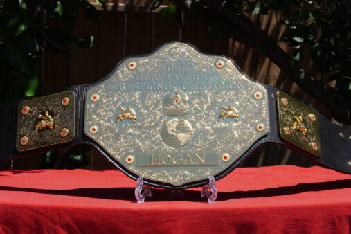 WCW World Heavyweight Championship Ultra Deluxe Replica Review - Figs ...