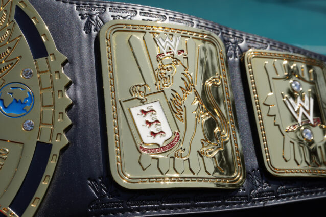 WWE Attitude Era Championship Replica Review - WWE Shop | hXcHector.com