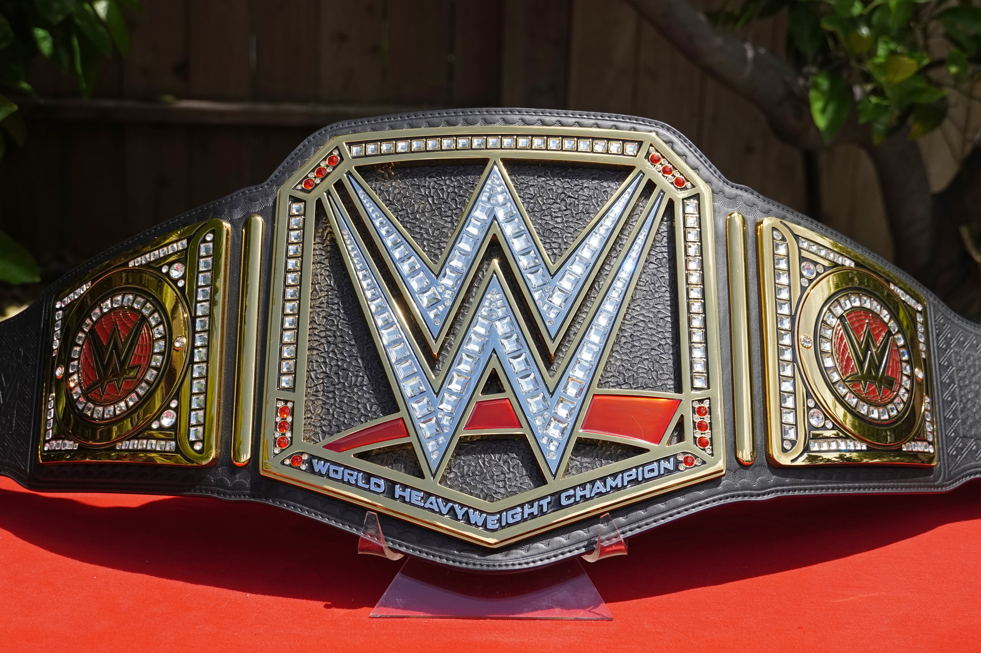 Set Of 10 Black Replica Belt Screws for WWE Championship Belts