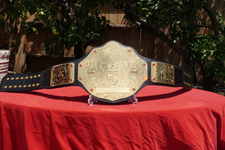 WWE World Heavyweight Championship Replica Review - WWE Shop ...