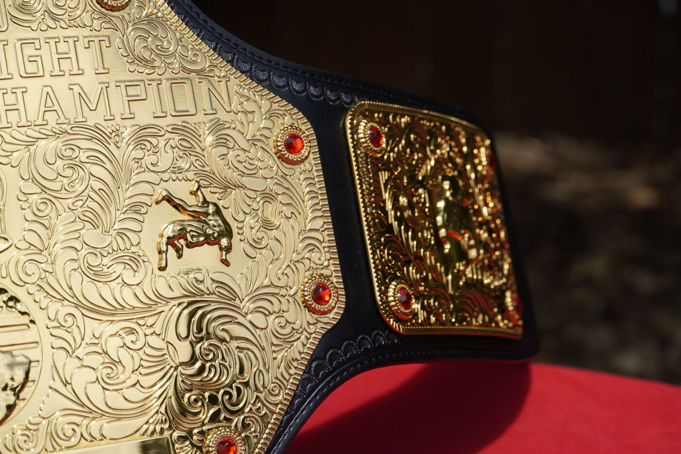 WWE World Heavyweight Championship Replica Review - WWE Shop ...