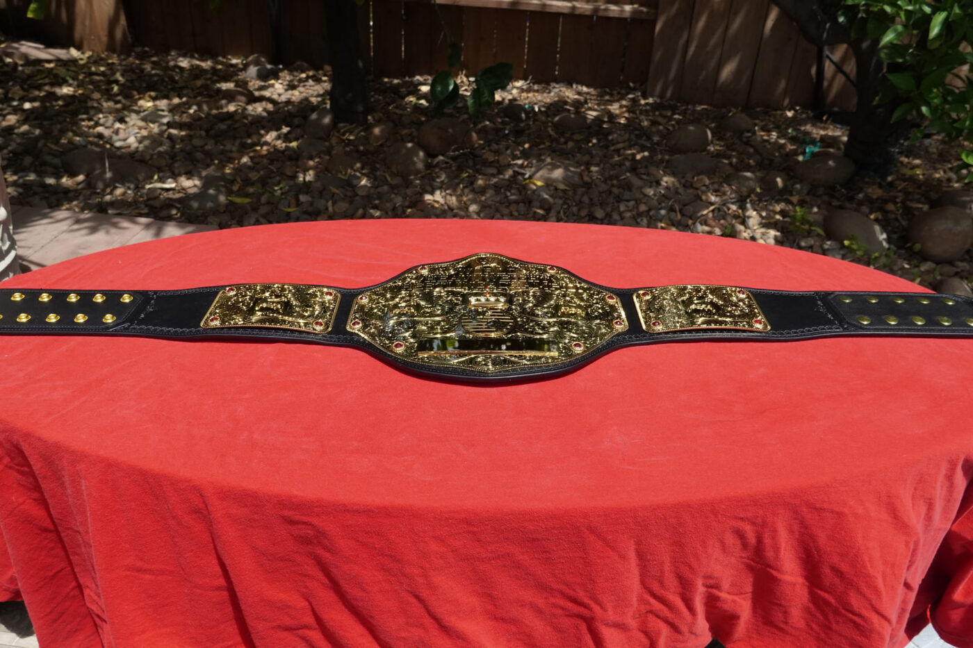 WWE World Heavyweight Championship Replica Review - WWE Shop ...